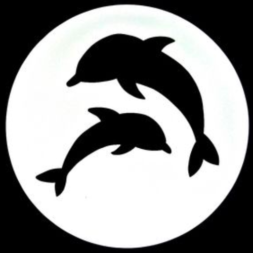 Jaiden Dolphin Circle
